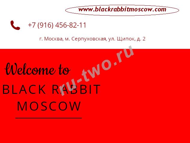   "Black Rabbit"   ,  ,    . 