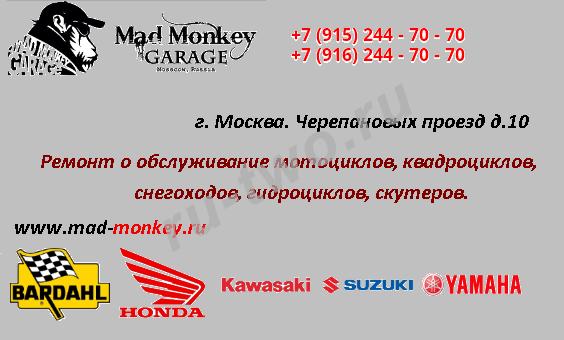 Mad Monkey Garage (MMG)     , , , , 